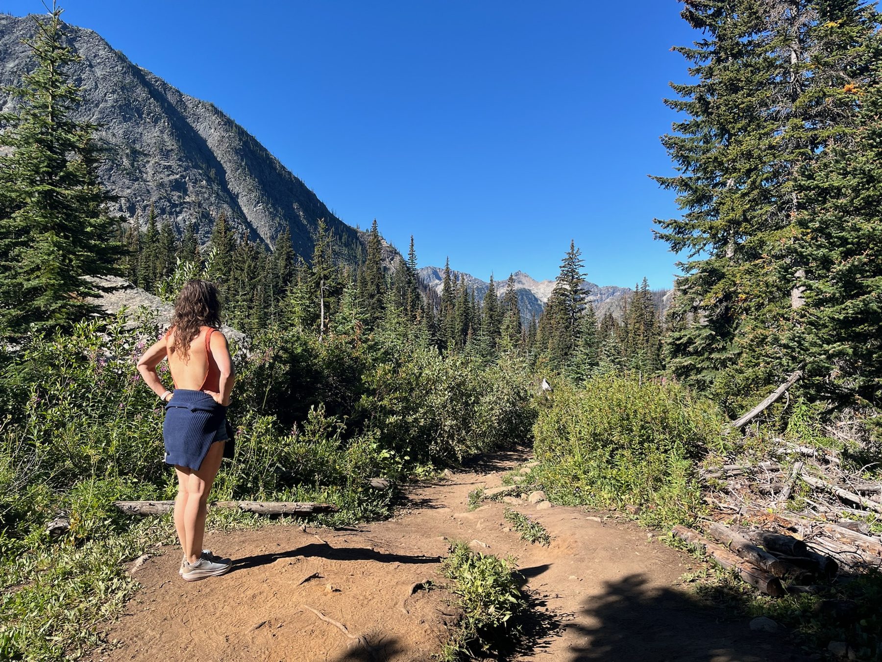 Looking out over a forest trail toward mountains on a clear day
